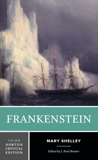 Cover image: Frankenstein (Norton Critical Editions) 3rd edition 9780393644029